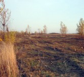 Zeleni Banat - Rusko Selo